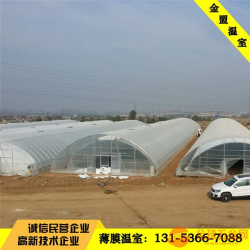 泉州花卉種植薄膜溫室大棚 平米價(jià)格與實(shí)用價(jià)值全解析
